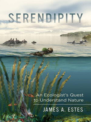 cover image of Serendipity